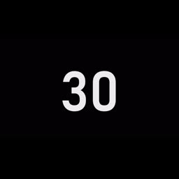 30 Seconds Countdown Timer | Black Screen